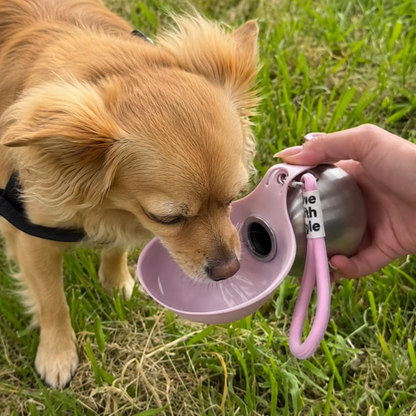 TrueBare™ Dog Water Bottle with Bowl
